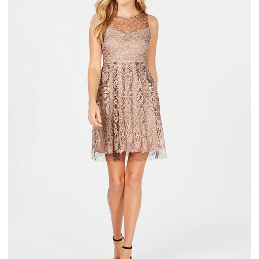 Lace Fit & Flare Dress